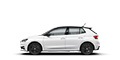 SKODA Fabia 4ª serie n.2 auto presenti