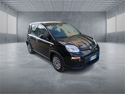 FIAT Panda 3ª serie Panda 1.0 FireFly S&S Hybrid USATO Ibrida-Benzina