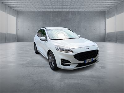 FORD Kuga 3ª serie Kuga 2.0 EcoBlue 120 CV aut. 2WD ST-Line X USATO Diesel