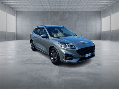 FORD Kuga 3ª serie Kuga 1.5 EcoBlue 120 CV aut. 2WD ST-Line USATO Diesel